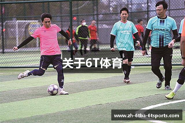 关于6T体育